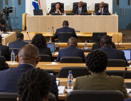 Download Dr Lucky Mathebula’s Expert Submission to the Madlanga Commission