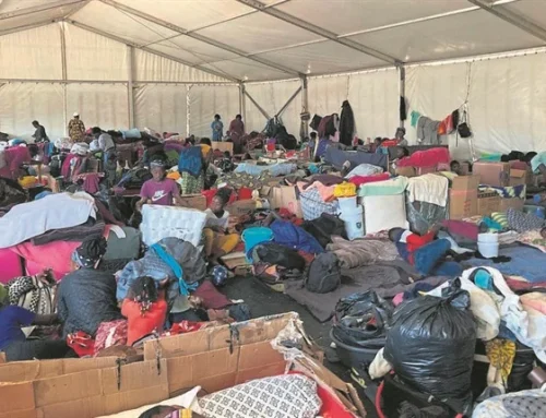 The Human-Rights Paradox of a Developmental State:  Foreign nationals, constitutional belonging and the limits of state capacity in South Africa
